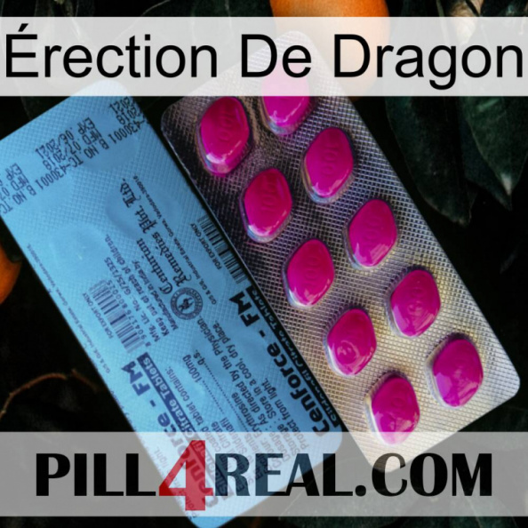 Érection De Dragon 35